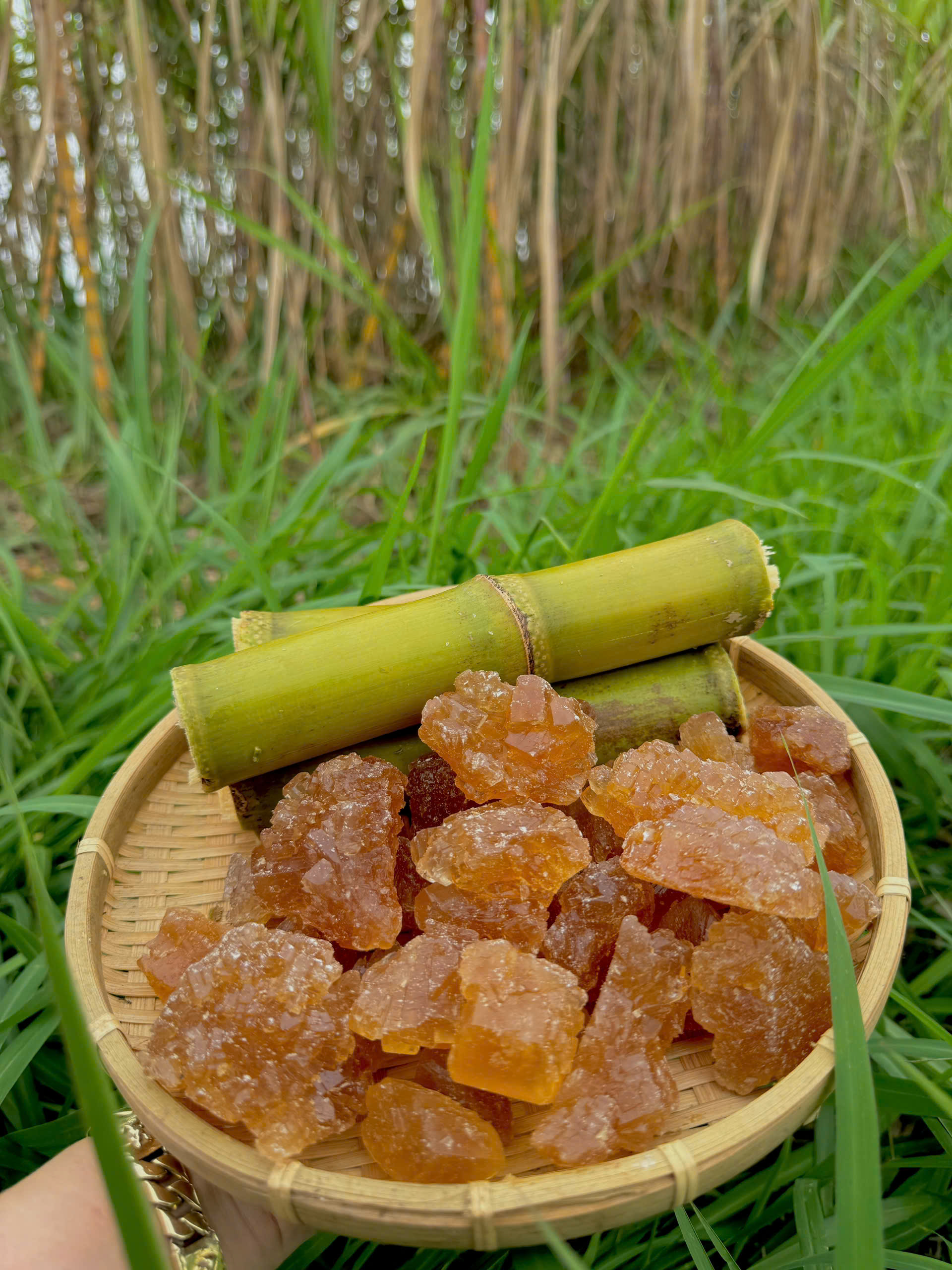 Đường phèn