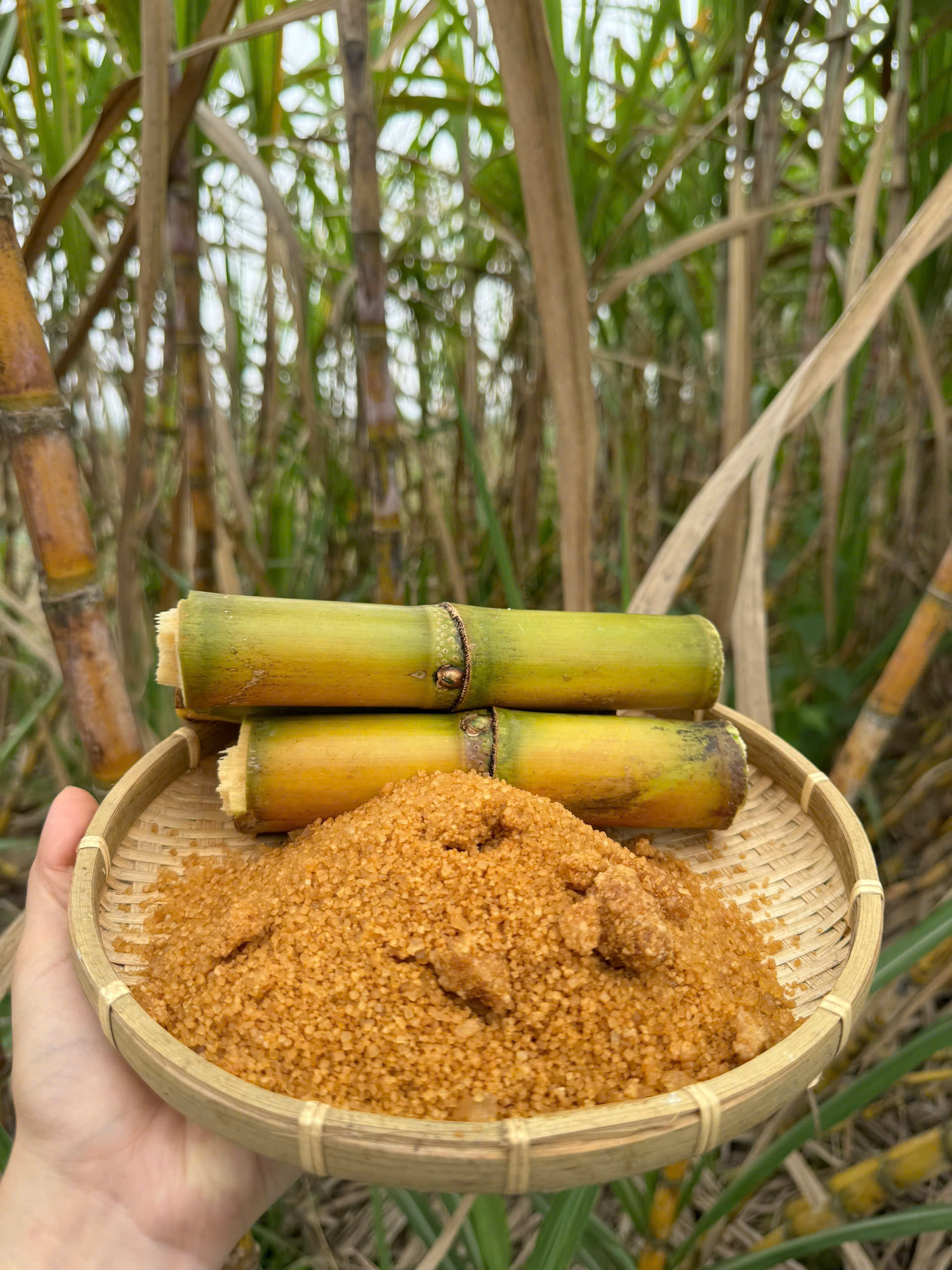 đường cát lu